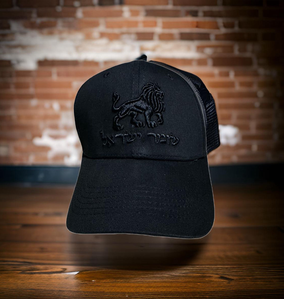 basball hat shomer israel