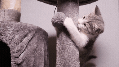 auxiliar para cortes (1).gif