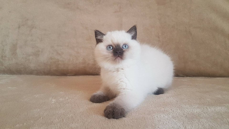 25659399_623997207724261_4160593385618805765_n (1)