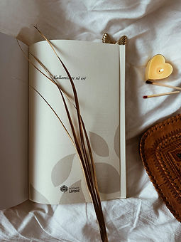 pexels-book-hut-440747141-27137633.jpg