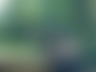 // RETOUR HANDI-RANDO AUBERIVE //