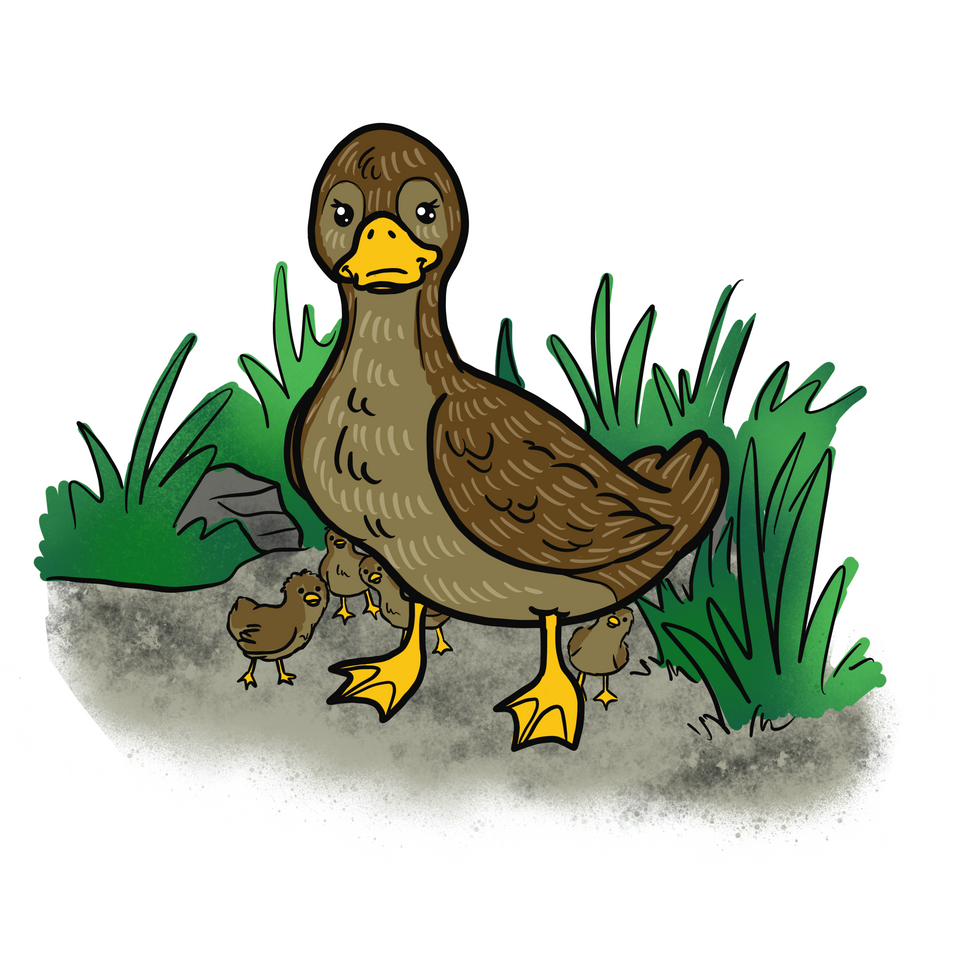 D6E6402C-07BC-4565-89AE-EEFFFC0B7AD1