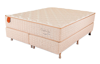 conjunto-pró-latex-prorelax.png