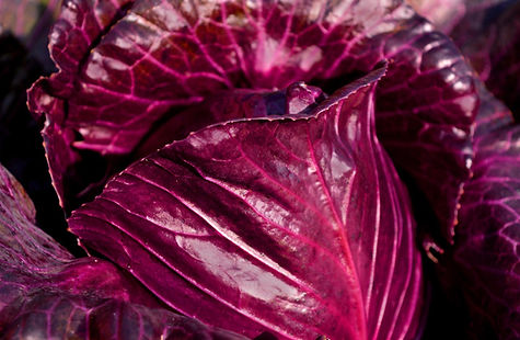 red-cabbage-4559494_1280.jpg