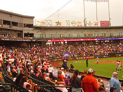 IMG_3962 (Large).JPG