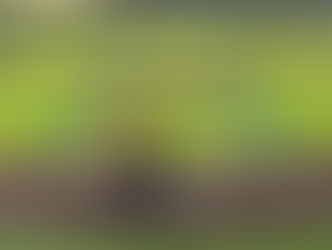 Lenda & Glenda Hill Stadium – Michigan Monarchs