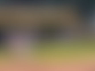 Larry Mahaney Diamond - Sebago Slammin’ Salmon