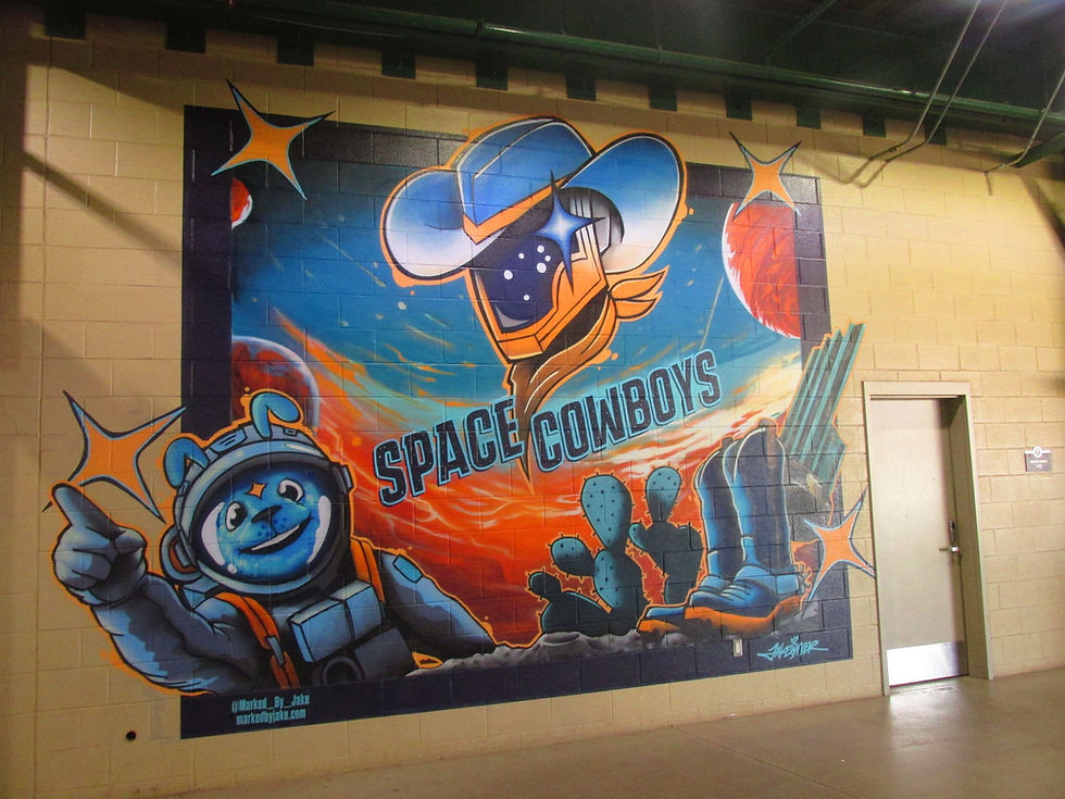 Constellation Field - Sugar Land Space Cowboys