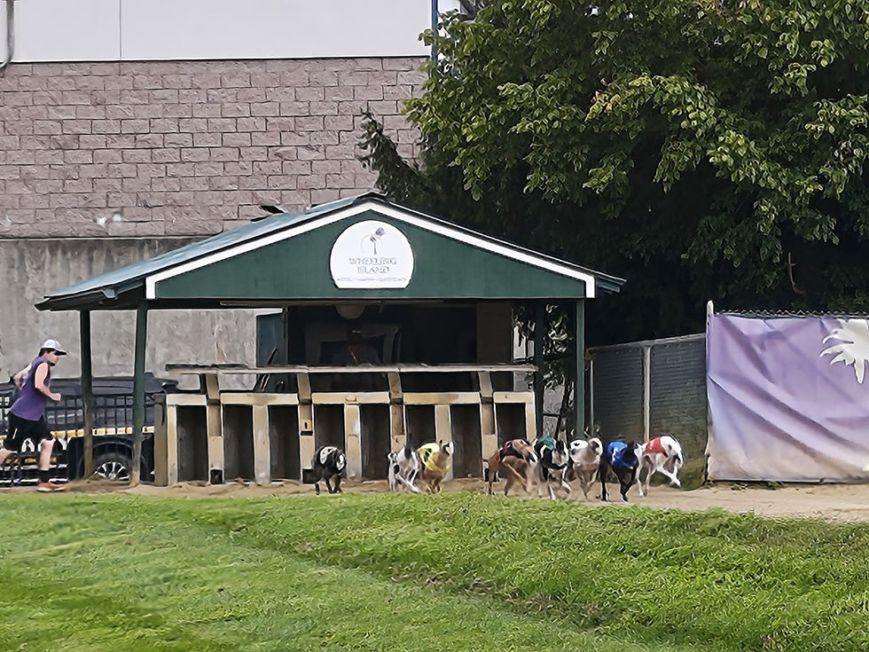 Wheeling Island Racetrack