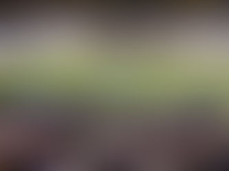 Robert K. Kraft Field at Lawrence A. Wien Stadium - Columbia Lions