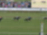 Colonial Downs