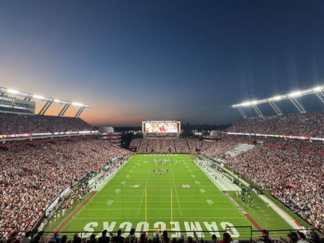 Williams-Brice Stadium Renovations  Continue