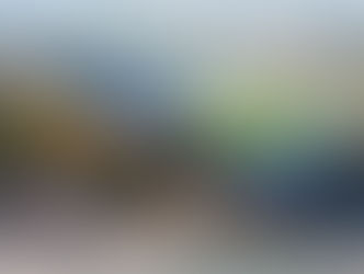 Historic Rice Stadium to See $120 Million in Renovations