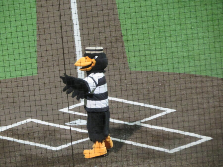 Duly Health and Care Field Joliet Slammers