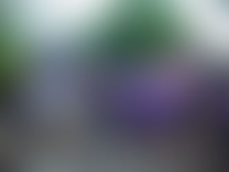 Stadium Journey's MLS Stadium Ranking 2025