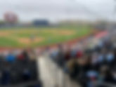 Hodgetown - Amarillo Sod Poodles
