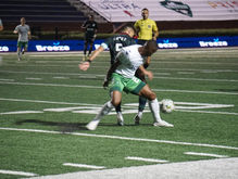 Paladin Stadium - Greenville Triumph SC