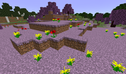 Sakura Biome ~ 3
