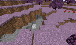 Sakura Biome ~ 2