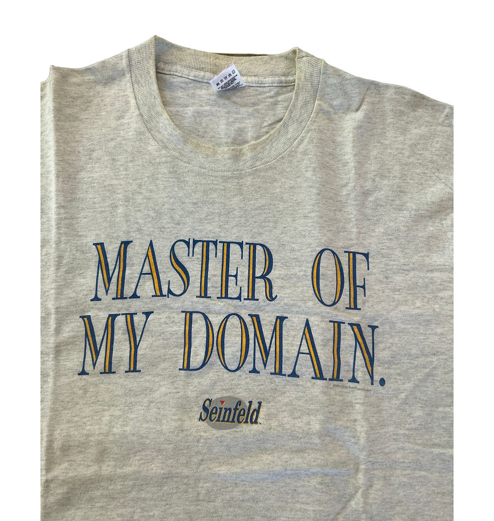 Thumbnail: Vintage 1995 Seinfeld Master Of My Domain TV Promo Tee Shirt Sz. XL