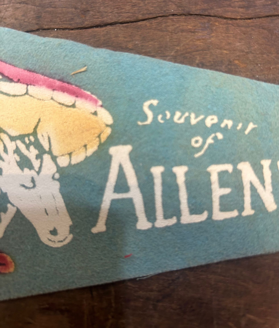 Thumbnail: VINTAGE ALLENTOWN FAIR FELT PENNANT RARE
