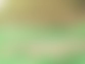 Avant-----------> Après (images aériennes)