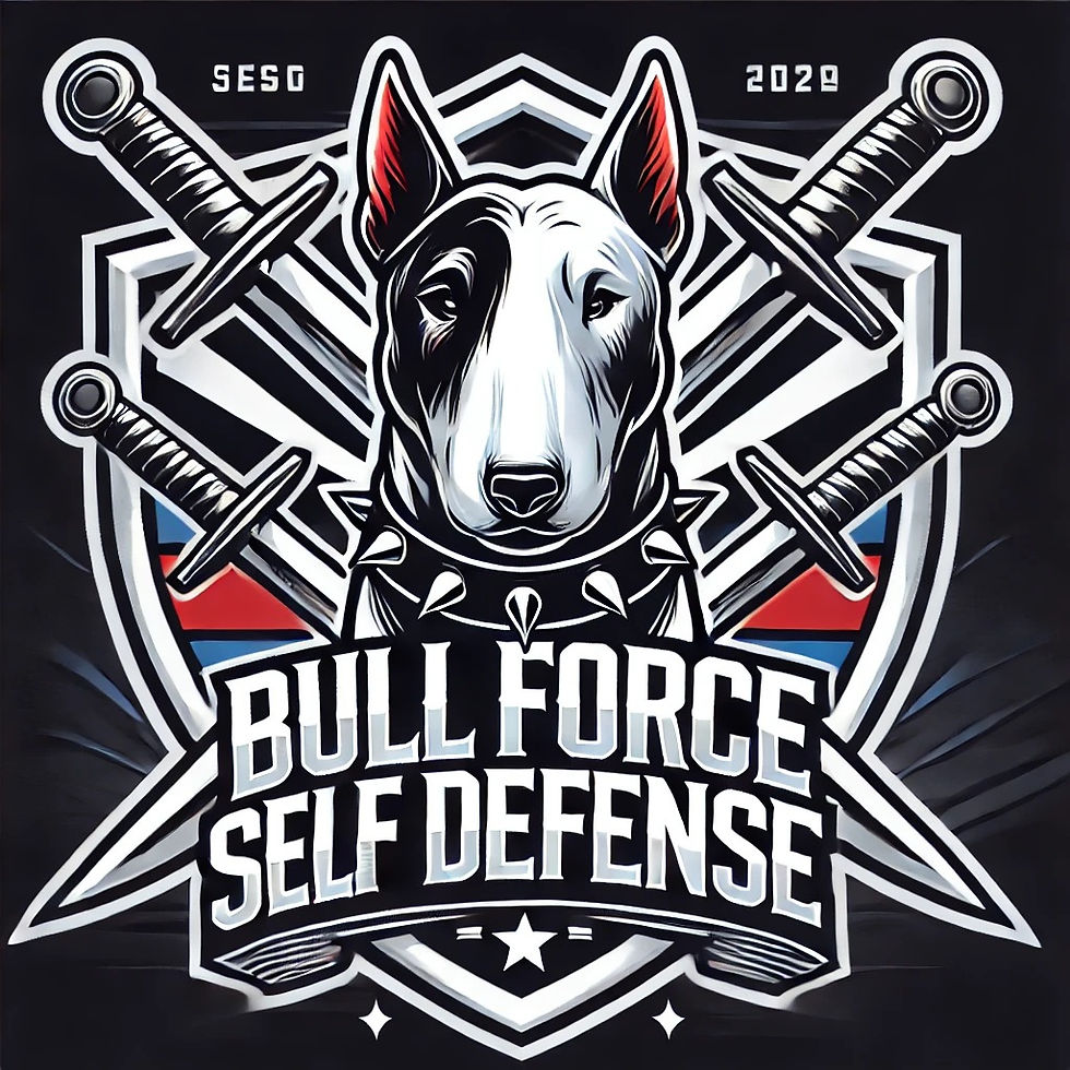 BullForceSelfDefence alt logo.jpeg
