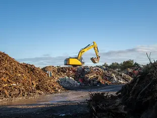 Gul Liugong i en bergtäckt