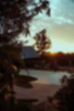 DSC00051.jpg