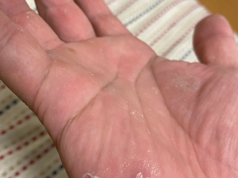 少しずつ。地道に。コツコツと