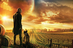 star trek ranks voyager Star Trek_ Picard