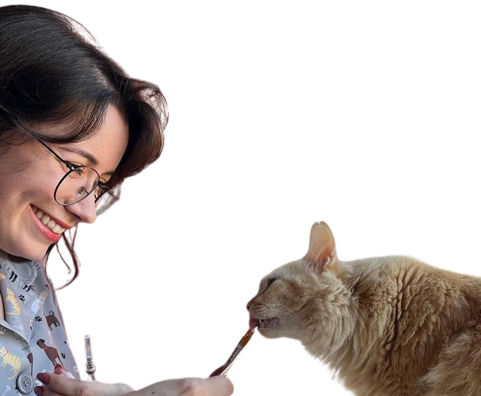 Design sem nome (13)_edited.png
