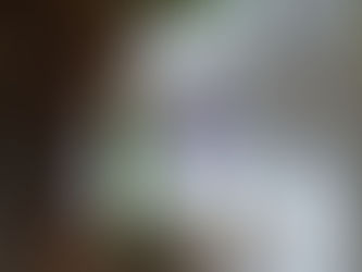 Uncovering the Magic: How Color Shapes the Story of Glass Art