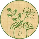 Image2.png