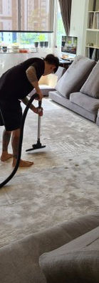 vacuum carpet