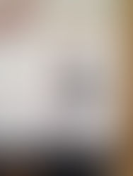 Fusion japonaise en Alsace et Baden-Baden