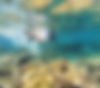 GOPR0382.jpg