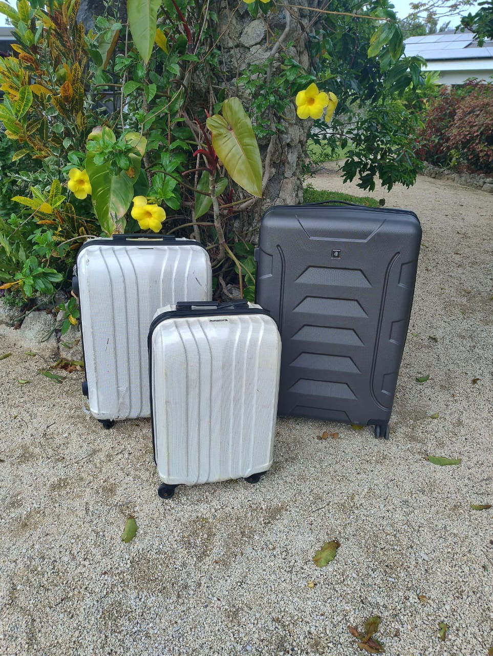 Luggage