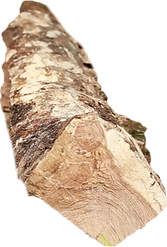 IMG_8947.PNG