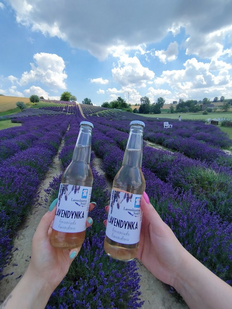 Ogród Pełen Lawendy