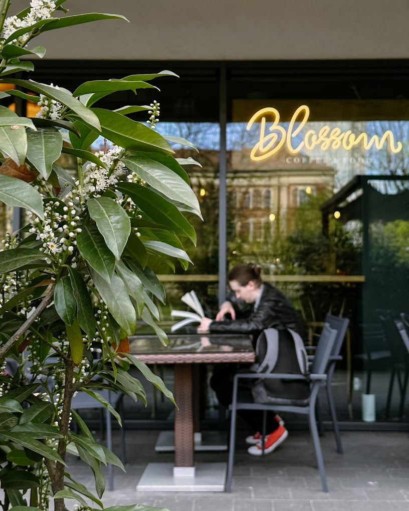 Blossom