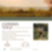 a 6-week yoga series designed to help you align with the autumnal shifts of nature. 