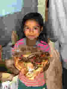 Foto: Banco de Alimentos Paraná