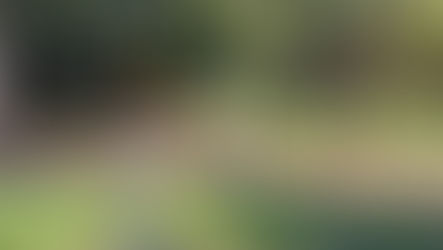 Georrefenciamento e Cadastro Ambiental Rural (CAR)