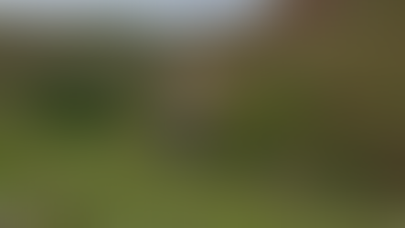 Georrefenciamento Rural