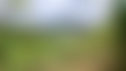 Georrefenciamento em área rural