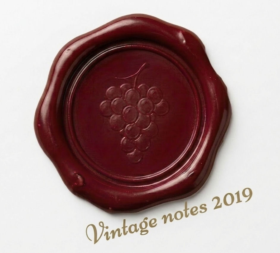 Philia Winery 2019 vintage seal on a clean white background, marking the technical analysis of a year defined by phenolic density