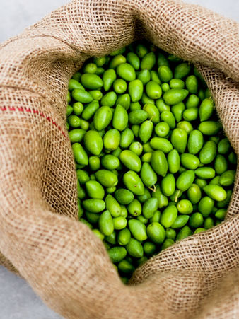 Olives how to make them edible 
