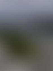 The Spiritual Lesson at Devil’s Lake