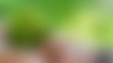 Are You an Initiator?